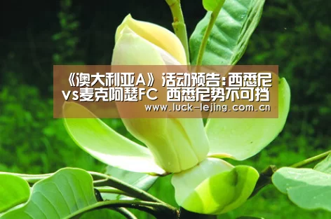《澳大利亚A》活动预告:西悉尼vs麦克阿瑟FC 西悉尼势不可挡‘乐竟娱乐平台下载