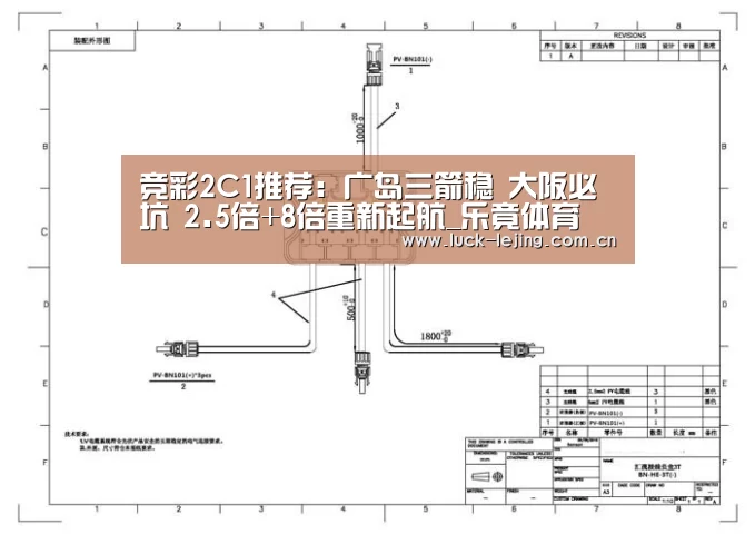 
竞彩2C1推荐：广岛三箭稳 大阪必坑 2.5倍+8倍重新起航_乐竟体育