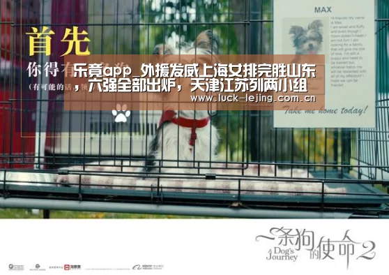 乐竟app_外援发威上海女排完胜山东，六